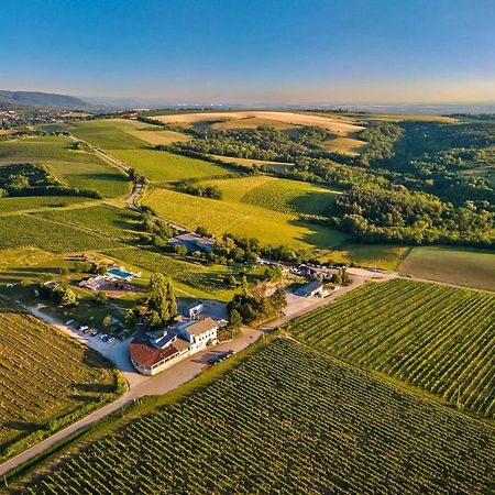 Hilltop Borbirtok&Étterem Otel Neszmély Dış mekan fotoğraf