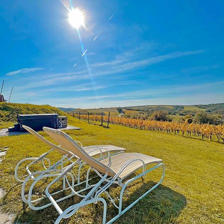 Hilltop Borbirtok&Étterem Otel Neszmély Dış mekan fotoğraf