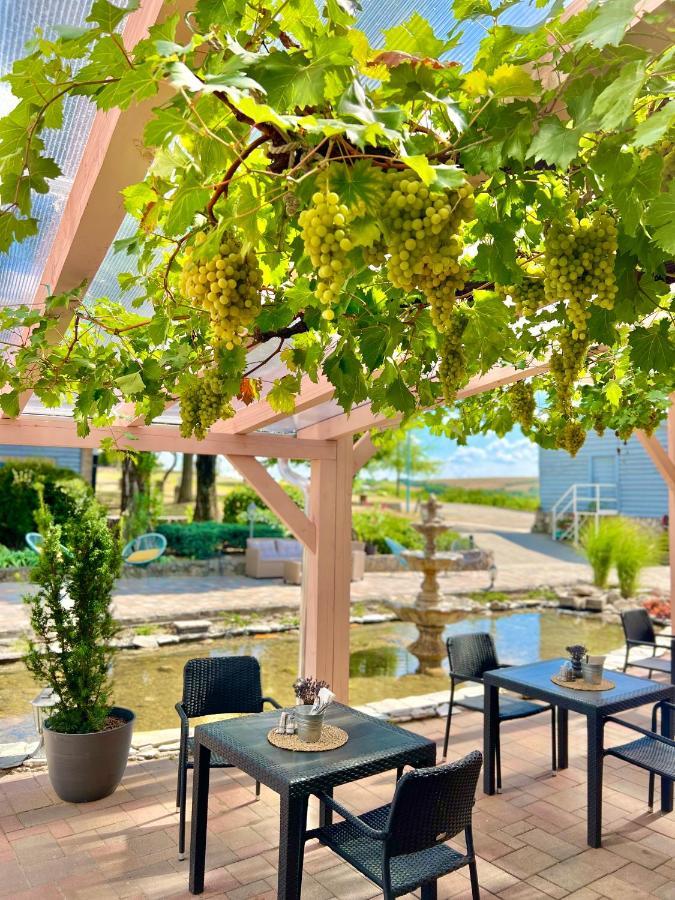 Hilltop Borbirtok&Étterem Otel Neszmély Dış mekan fotoğraf