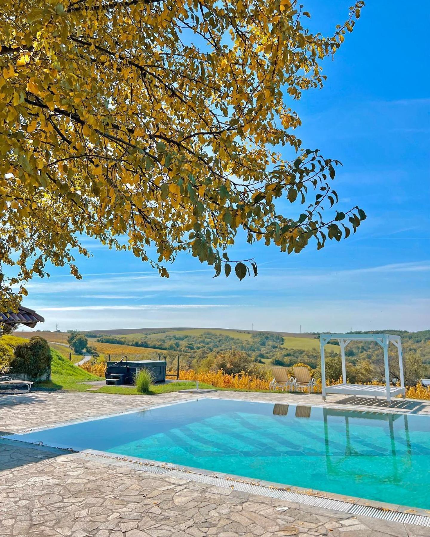 Hilltop Borbirtok&Étterem Otel Neszmély Dış mekan fotoğraf